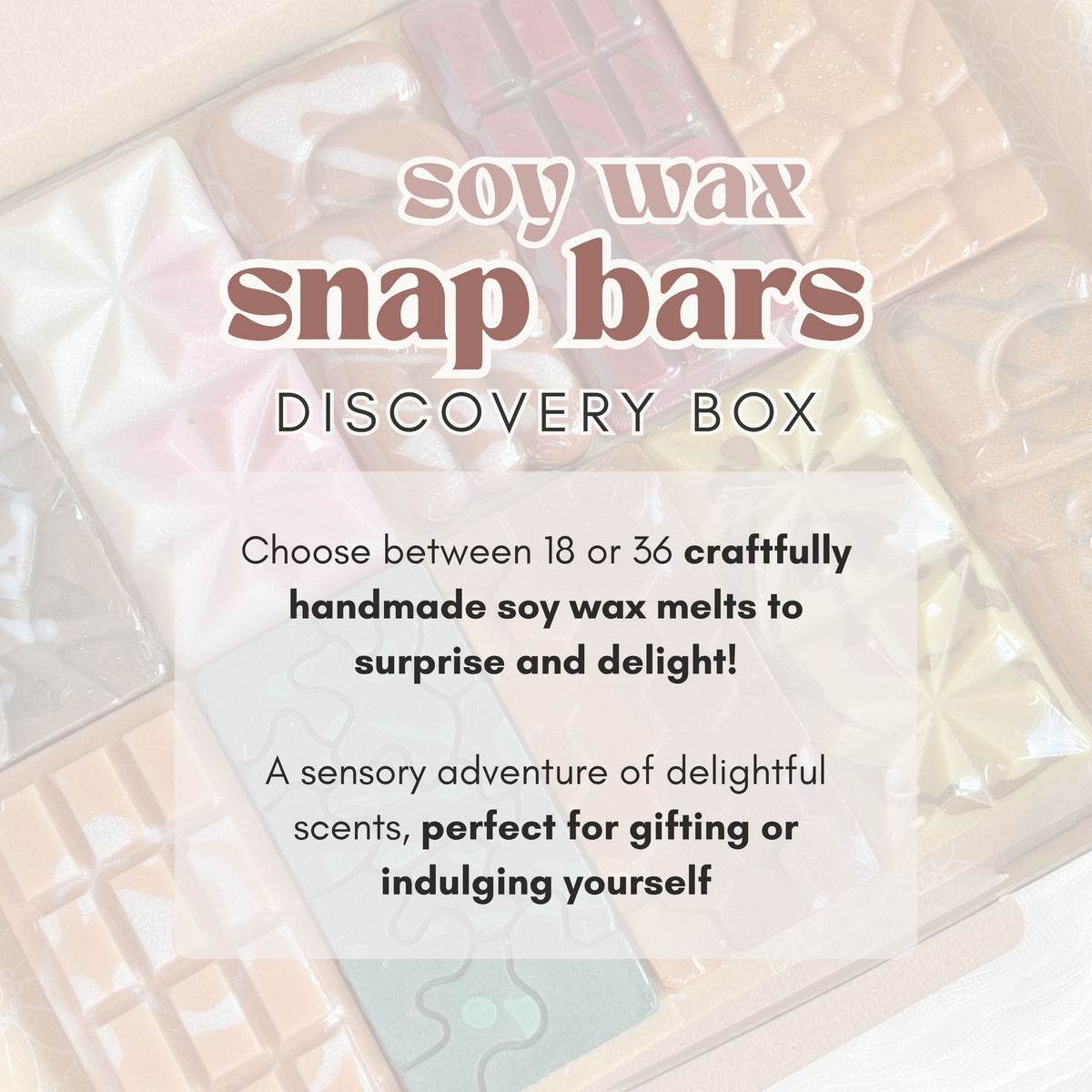 Snap Bars Discovery Box