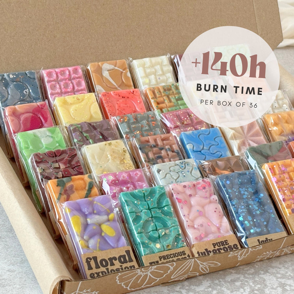 Mini Snap Bars Discovery Box