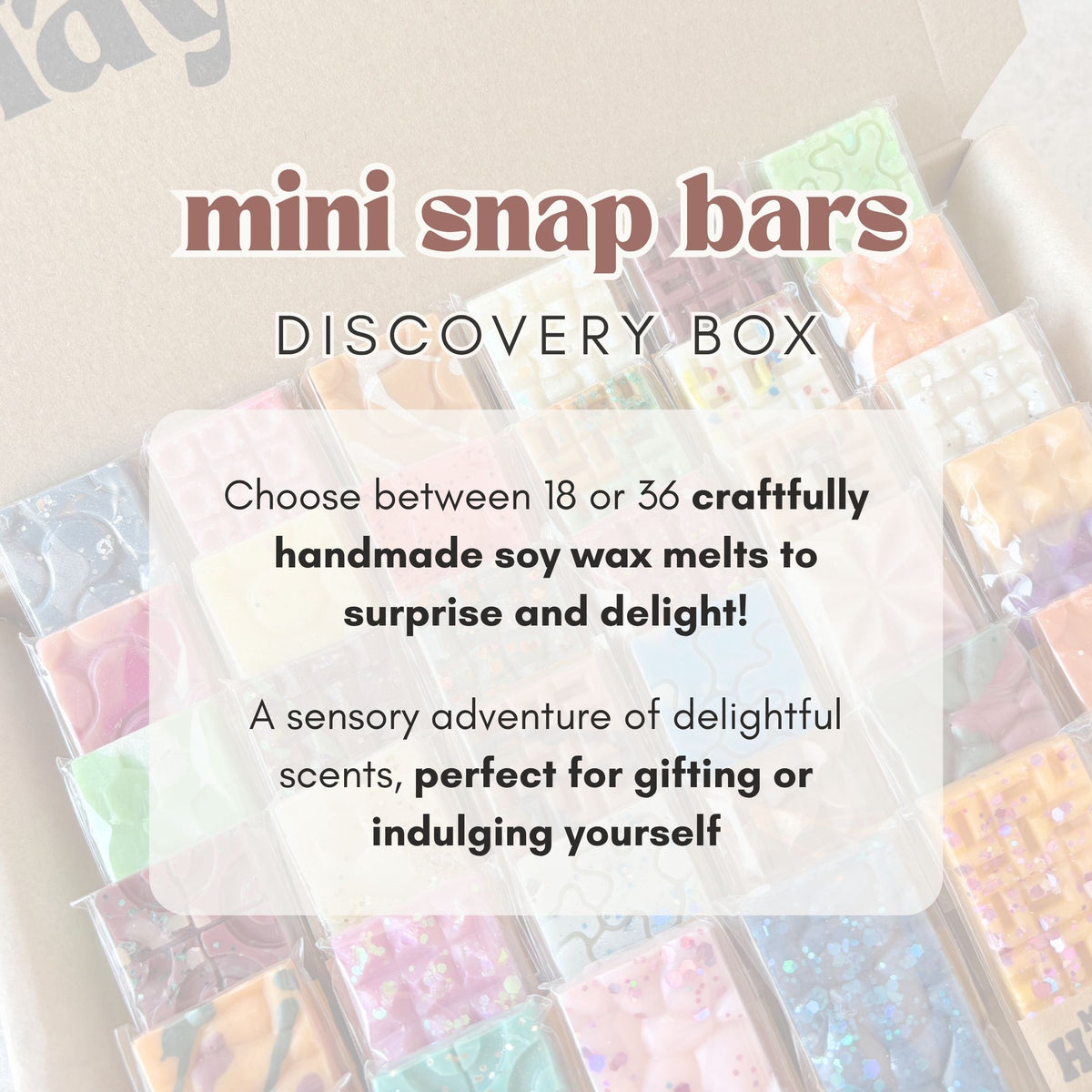 Mini Snap Bars Discovery Box