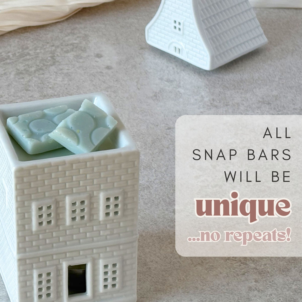 Mini Snap Bars Discovery Box